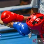 Enam wakil Indonesia berjuang menuju semifinal Asian Boxing –